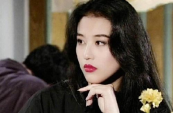 周海媚漂亮小姐姐,美丽与智慧并存的影视女神