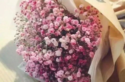 王馨瑶花语界手持鲜花,手持鲜花，绽放生命之美