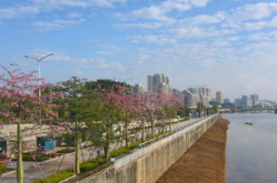 怀集写真,探寻岭南古韵，感受山水画卷