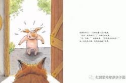 小姐姐与荷兰猪的故事,小姐姐的温馨守护之旅
